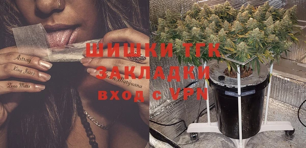 ешки Богданович
