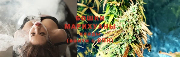 2c-b Белокуриха