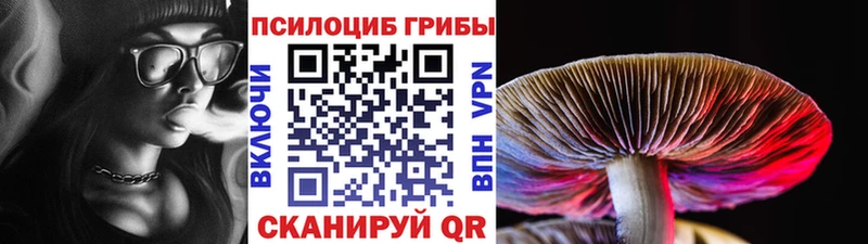 цена наркотик  Болотное  Галлюциногенные грибы MAGIC MUSHROOMS 
